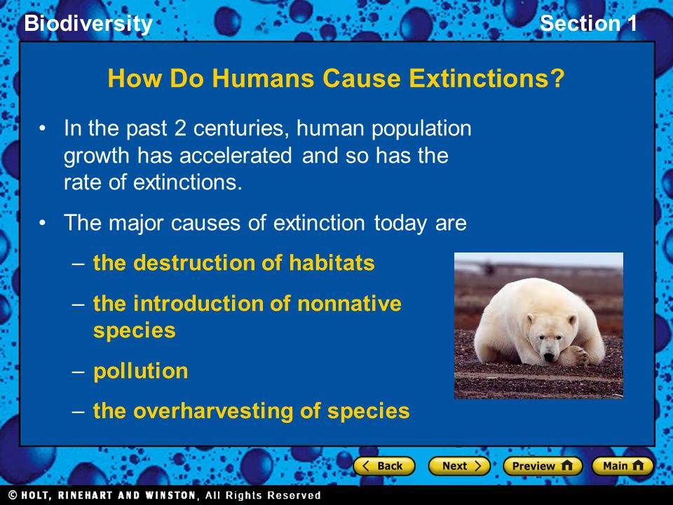 Causes of animal extinction